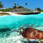 Snorkeling Holbox